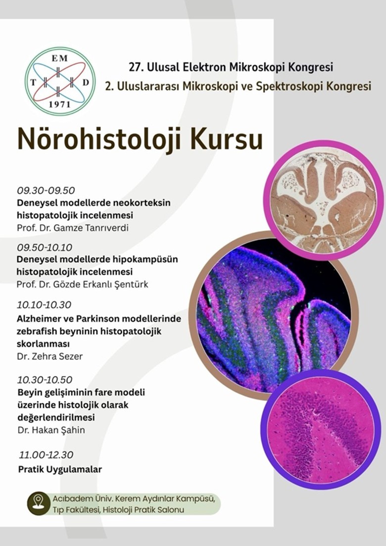 Nörohistoloji Kursu